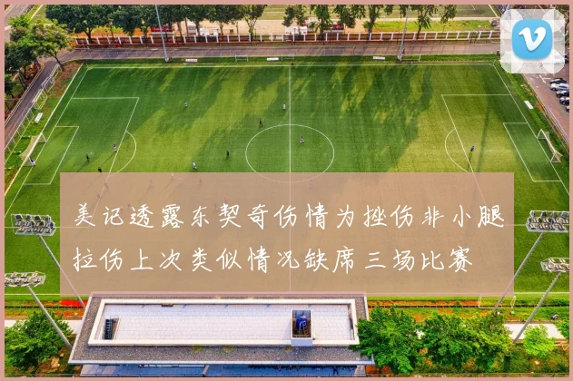 美记透露东契奇伤情为挫伤非小腿拉伤上次类似情况缺席三场比赛