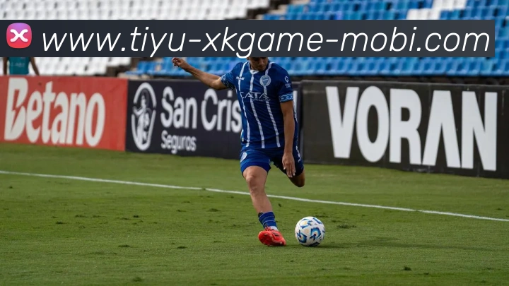 奖项证书